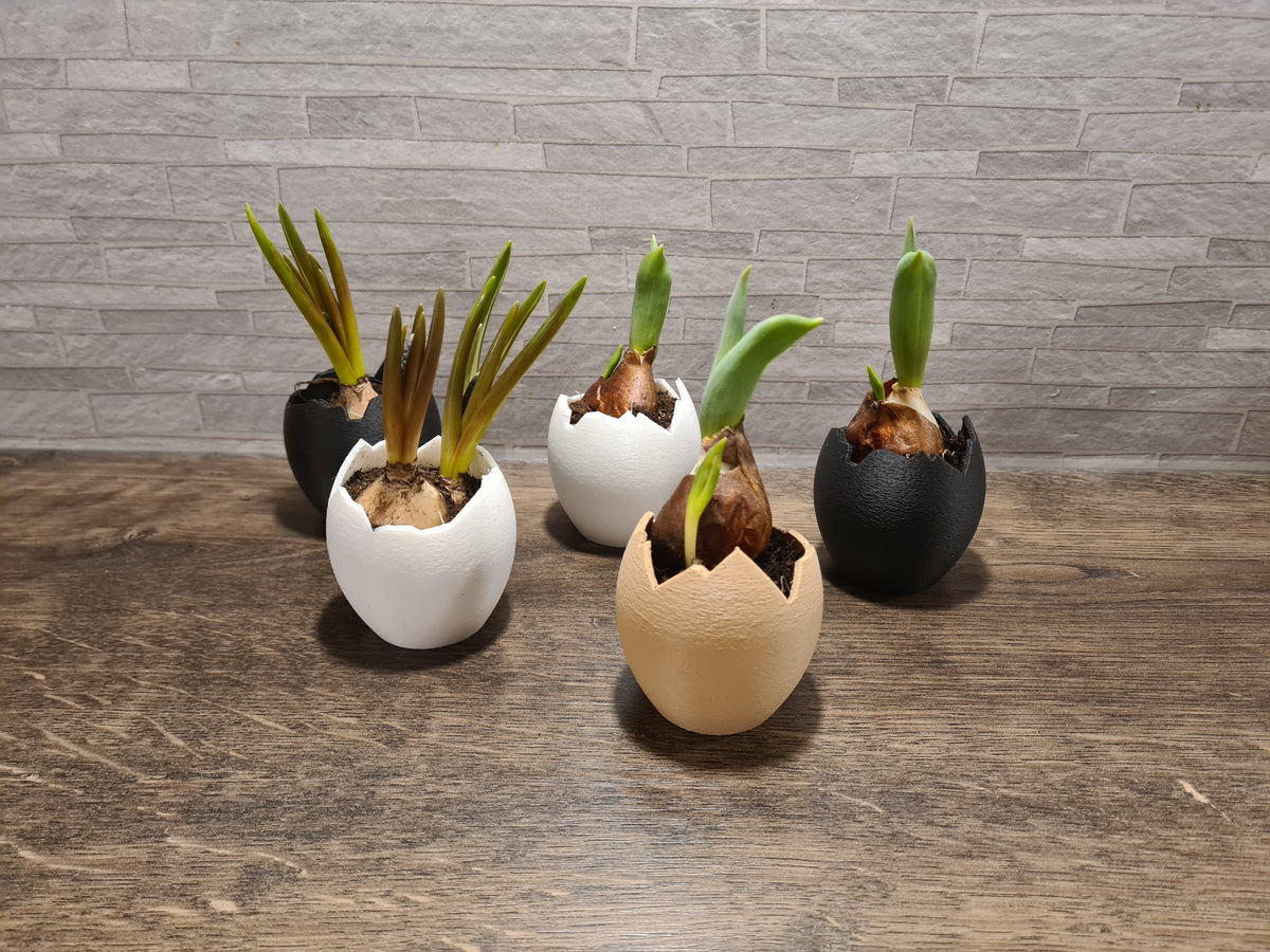 Mini-Vase „Broken Egg“ in Eierschalen-Optik, 3D-Druck aus PLA – print3design, Ansicht 2