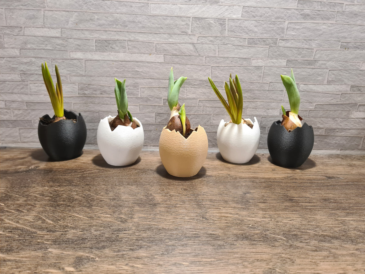 3D-gedruckte Mini-Vase „Broken Egg“ in Eierschalen-Optik aus mattem PLA – Osterdeko von print3design