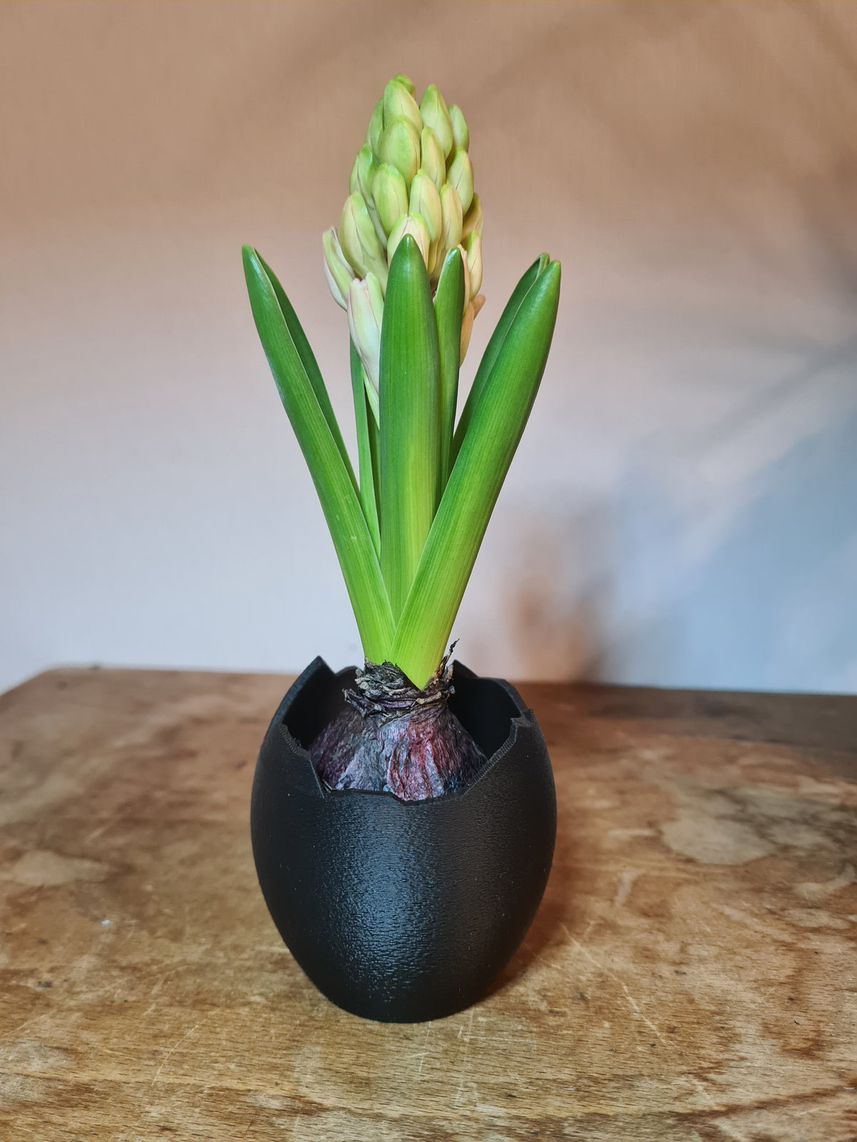 Mini-Vase „Broken Egg“ in Eierschalen-Optik, 3D-Druck aus PLA – print3design, Ansicht 8