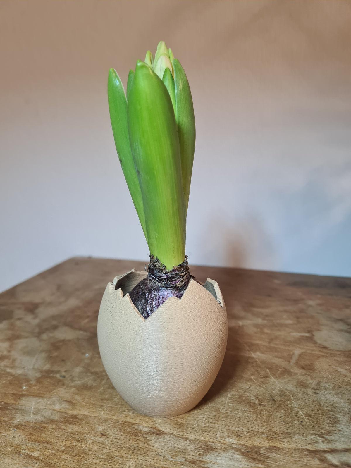 Mini-Vase „Broken Egg“ in Eierschalen-Optik, 3D-Druck aus PLA – print3design, Ansicht 9