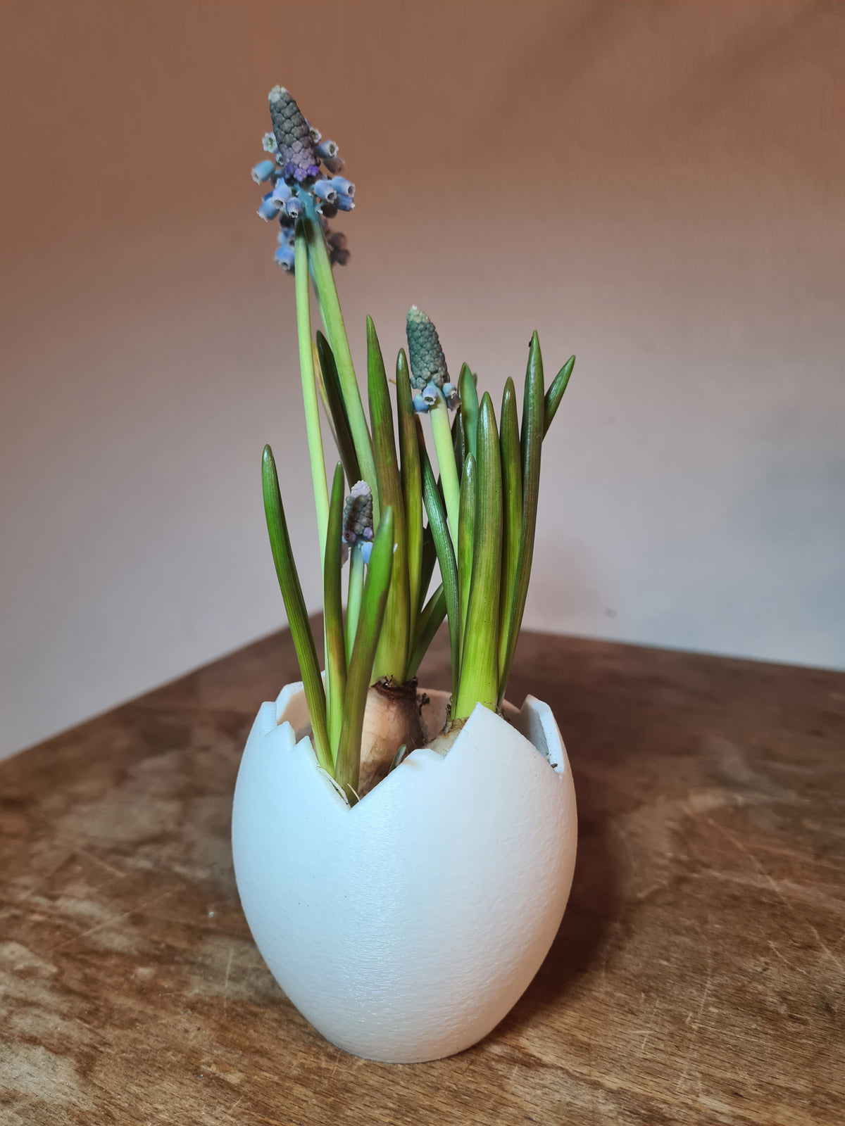 Mini-Vase „Broken Egg“ in Eierschalen-Optik, 3D-Druck aus PLA – print3design, Ansicht 10